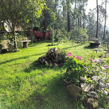 Le Jardin Almora Exterior foto